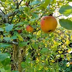 Chez Les Soeurs Сasa de vacaciones Ige (Orne)