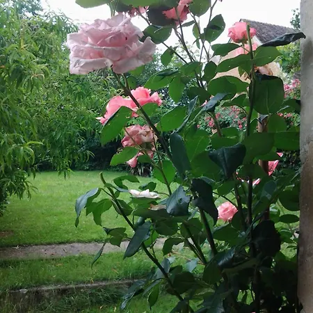 Holiday home Chez Les Soeurs *