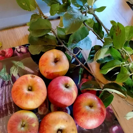 Σπίτι διακοπών Chez Les Soeurs *