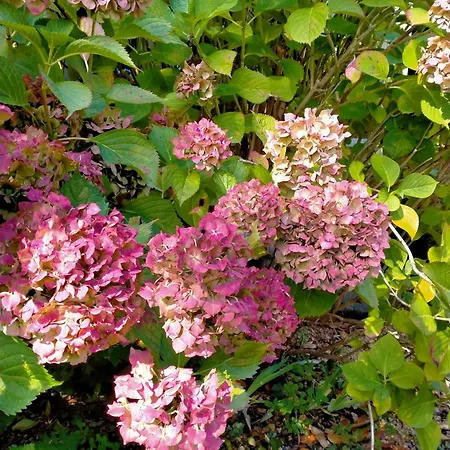 Chez Les Soeurs Σπίτι διακοπών *