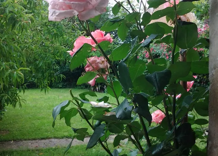 Holiday home Chez Les Soeurs *