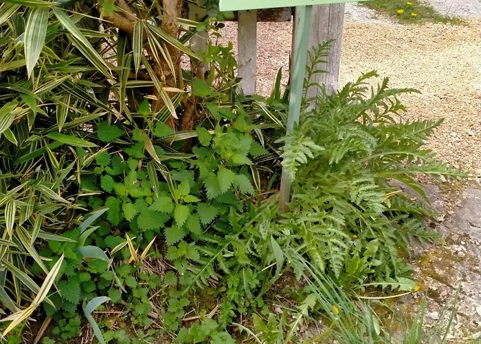 Chez Les Soeurs Ige (Orne)