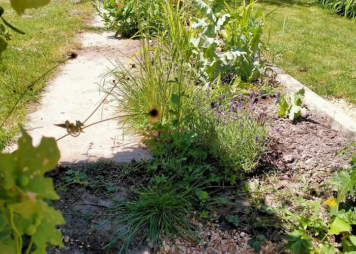 Chez Les Soeurs Ige (Orne)