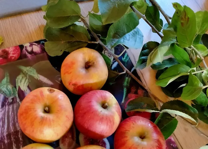 Holiday home Chez Les Soeurs *