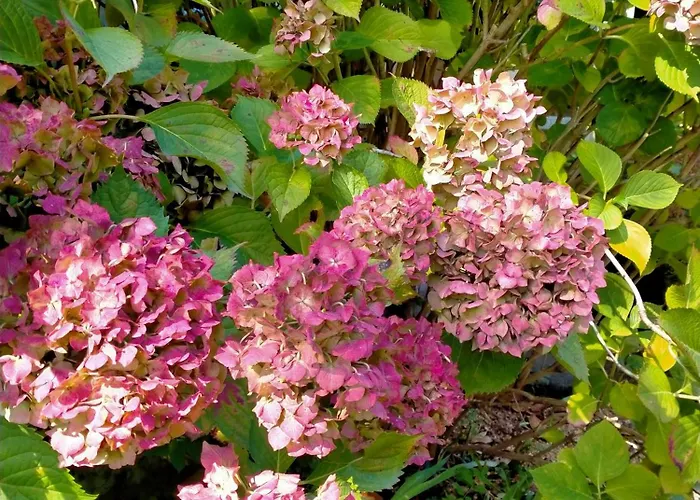 Chez Les Soeurs Holiday home *